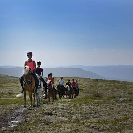 Rendalen Fjellridning horse riding in the mountains near Unset